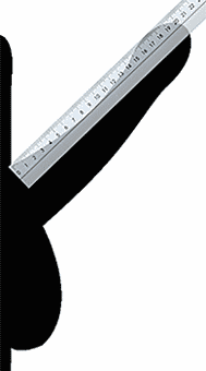Penis uzunluğunun ölçülmesinde ereksiyon durumundaki penis üzerine koyulan cetveli gösteren şema